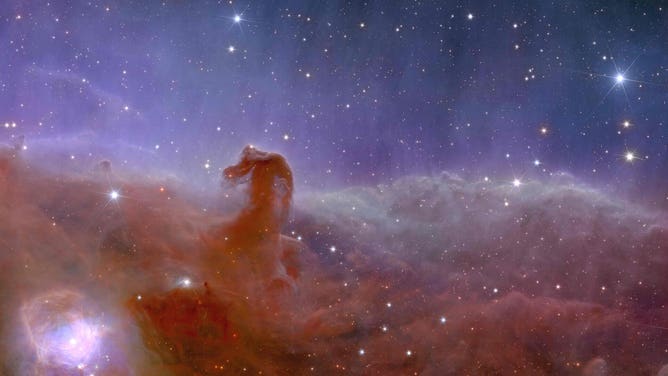 Euclid telescope view of Horsehead Nebula.