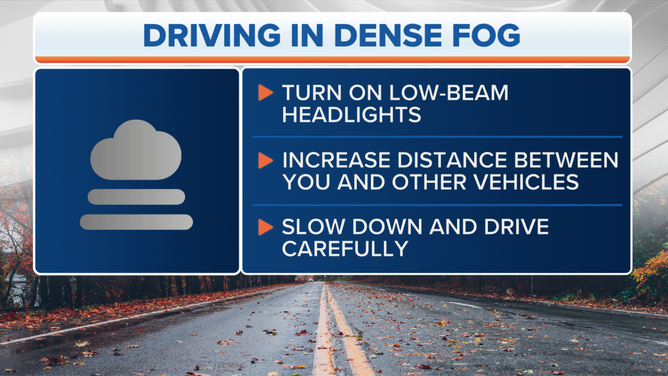 Safety tips for driving in dense fog.