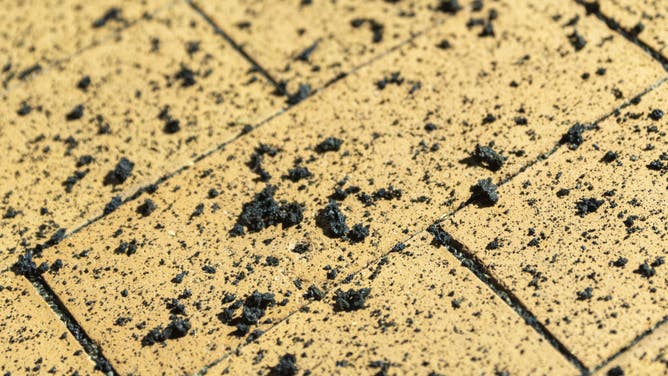 A general view of the area covered with ash after Etna volcano eruption begins in the early evening of November 12 in Catania, Italy on November 12, 2023.