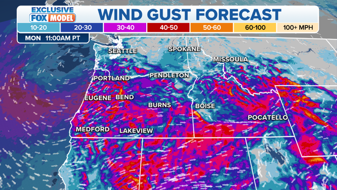 Northwest Wind Gust Forecast