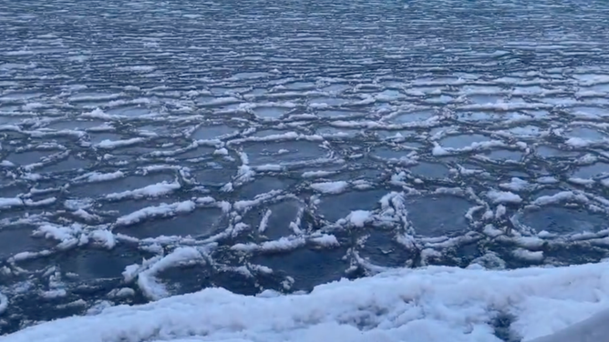 Ice pancakes in Lake Superior. Nov. 28, 2023.