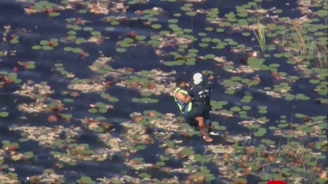 A photo showing a pilot being rescued after his plane crashed into the alligator-infested waters of the Florida Everglades.