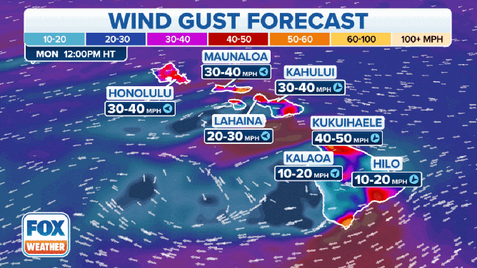 The wind gust forecast and forecast relative humidity levels in Hawaii on Monday, November 6, 2023.