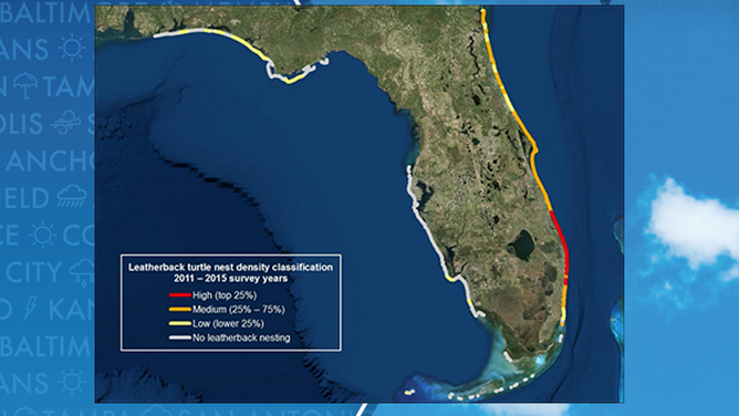 Leatherback nesting in Florida map