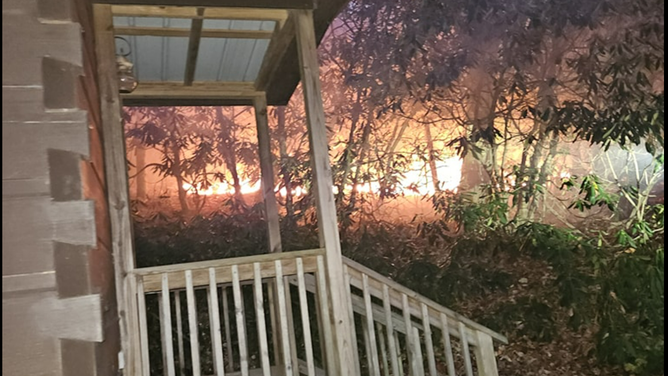 Popular Drive Wildfire