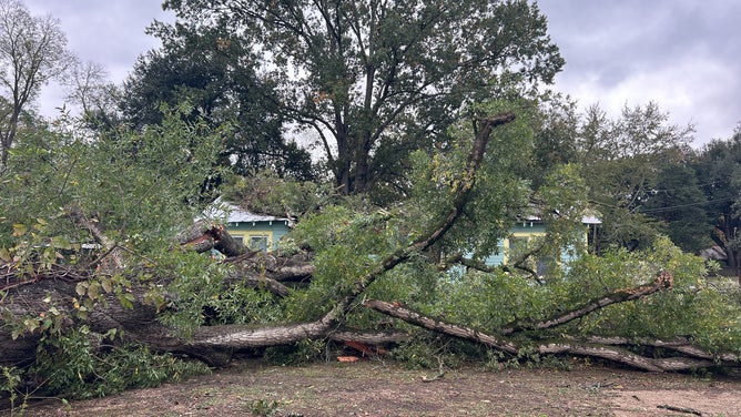 Tornado damage in Marksville, LA