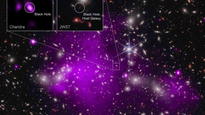 These images show the galaxy cluster Abell 2744 that UHZ1 is located behind, in X-rays from Chandra and infrared data from Webb, as well as close-ups of the black hole host galaxy UHZ1.