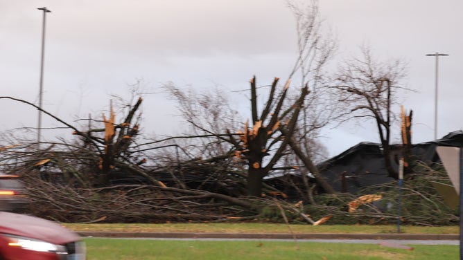 Trees are seen snapped in half after a deadly tornado outbreak in Tennessee on Saturday, Dec. 9, 2023.