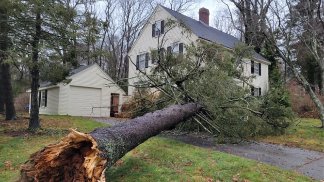 A tree narrowly avoid falling onto a home in Cohasset, Massachusetts, on Monday, Dec. 18, 2023.