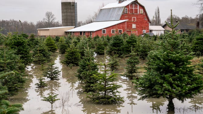 Atmospheric River Conditions In Pacific Northwest Brings Heavy Rains And Flooding To Region