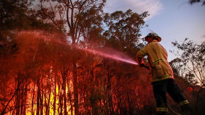 NSW Rural Fire Service firefighter attempt to extinguish a bush fire at West Wallsend on December 14, 2023 in Newcastle, Australia. 