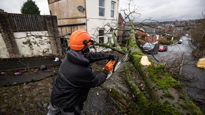 A tree surgeon removes a fallen tree following a tornado on December 28, 2023 in Stalybridge, England.