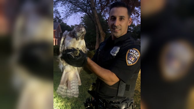 Caputo holding a bird.