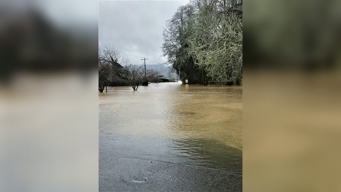 Grays River Valley Flooding in Washington