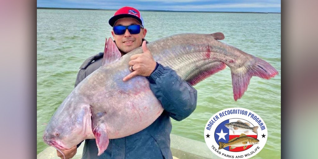 Texas fisherman catches record catfish