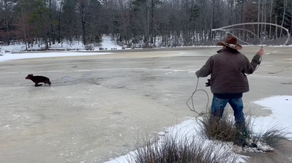 Watch: Arkansas cowboy uses lasso to save calf trapped on frozen pond