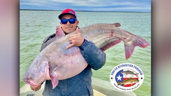 Texas fisherman catches record 62-pound blue catfish