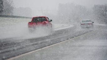 5 women from same family reportedly killed by tractor-trailer