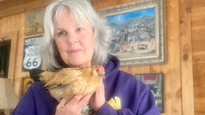 Peanut the Chicken died in her sleep in her owner's arms Christmas morning.