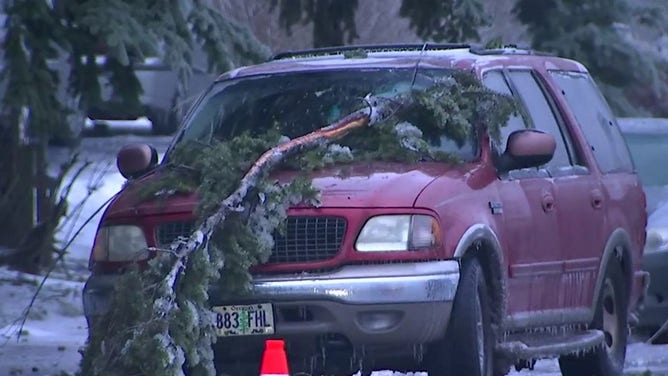 The family's SUV, with a broken tree branch on it.