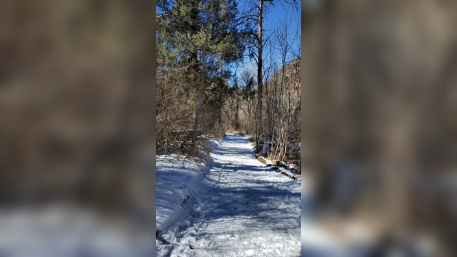 Snow-covered trail.