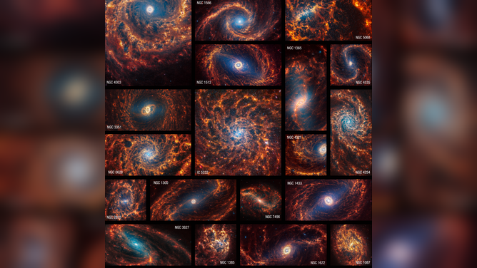 The James Webb Space Telescope observed 19 spiral galaxies
