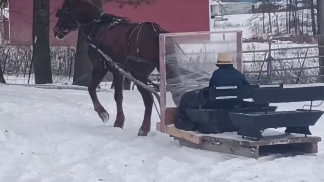To assist a driver who was stuck in the snow, an Amish man in Ethridge, Tennessee used his horses to pull an SUV out.