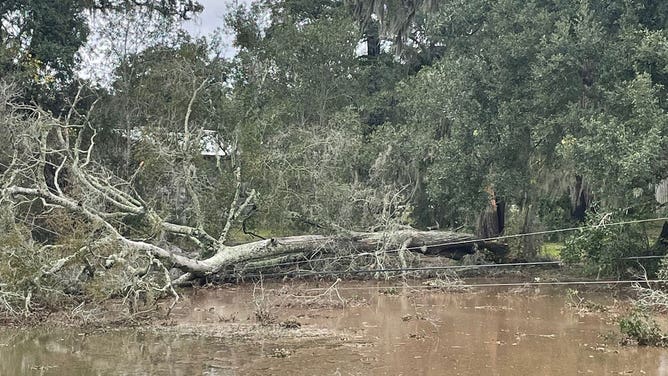 First Tornado Of 2024 In US Reported In Texas Fox Weather   Brazoria Damage 1 