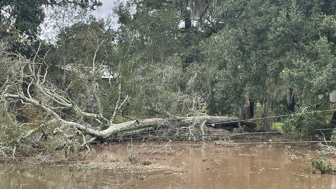 Damage from first tornado of 2024 near Lake Jackson, Texas.