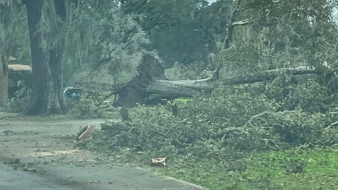 Damage from first tornado of 2024 near Lake Jackson, Texas.