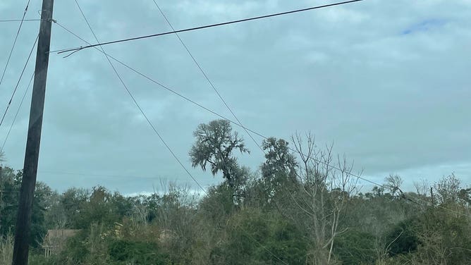 Damage from first tornado of 2024 near Lake Jackson, Texas.