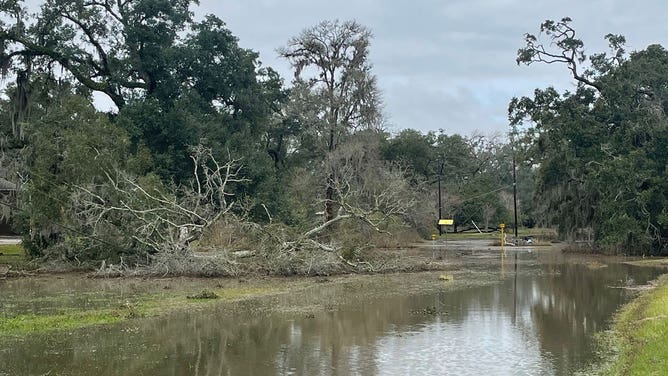 Damage from first tornado of 2024 near Lake Jackson, Texas.