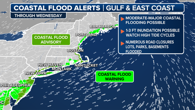 Here's a look at the coastal flood alerts in the Northeast.