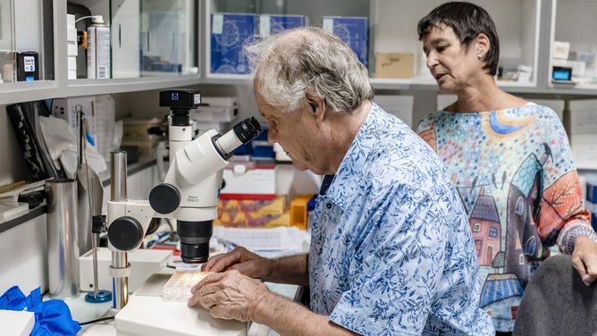 Husband and wife virologists Jean-Michel Claverie, left, and Chantal Abergel in a laboratory at the Information Gnomic and Structural Center (IGS) of Aix-Marseille University in Marseille, France, on Sept. 25, 2023. Last year, Claverie's team published research showing they'd extracted multiple ancient viruses from the Siberian permafrost, all of which remained infectious. Photographer: Jeremy Suykur/Bloomberg