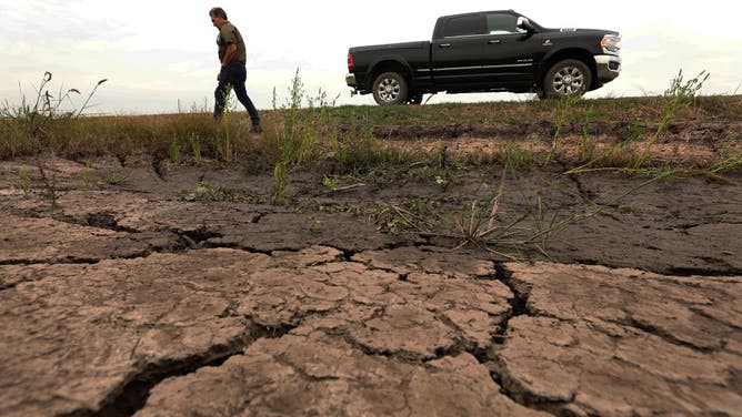 Farmer Chad Hanks walks by dry cracked earth on his farm where he usually grows crawfish on October 10, 2023 in Kaplan, Louisiana.