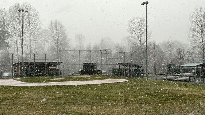 Snow flies at a park in Everett, Washington, on Jan. 11, 2024.