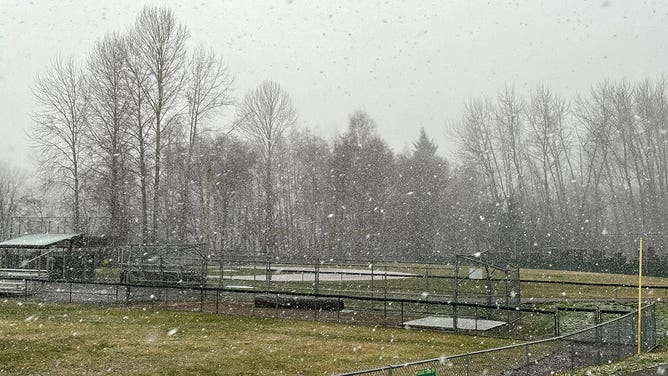 Snow flies at a park in Everett, Washington, on Jan. 11, 2024.