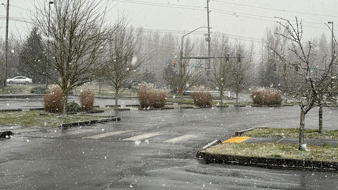 Snow flies at a park in Everett, Washington, on Jan. 11, 2024.