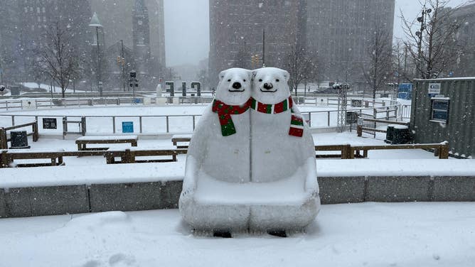 Snow falls in Cleveland, Ohio on Jan. 19, 2024.