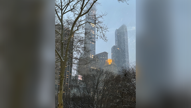 The New York City skyline is seen from Central Park after snow on Tuesday, Jan. 16, 2024.