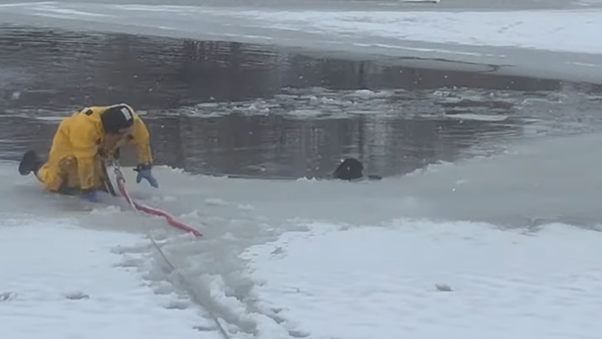 A North Davis Fire District firefighters rescues a dog from a frozen pond in West Point, Utah on Jan. 14, 2024.