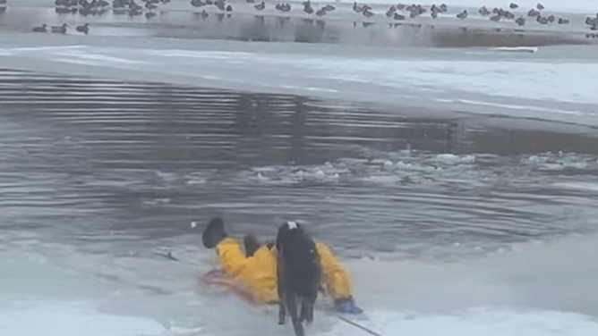 A North Davis Fire District firefighters rescues a dog from a frozen pond in West Point, Utah on Jan. 14, 2024.