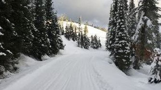 Snowy scene in Idaho backcountry.