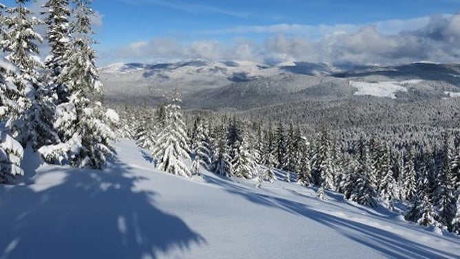 Snowy scene in Idaho backcountry.