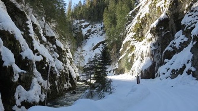 Snowy scene in Idaho backcountry.