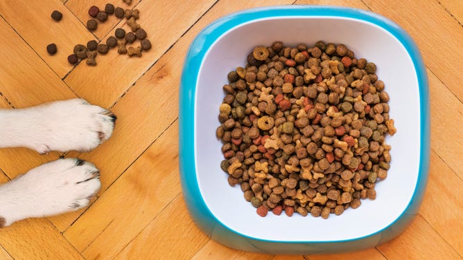 Dog paws next to a bowl of food.
