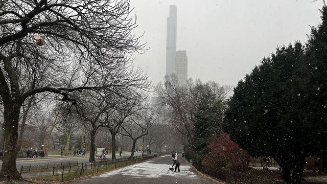 Snow falls in New York City, New York, during a nor'easter on Jan. 6, 2024.