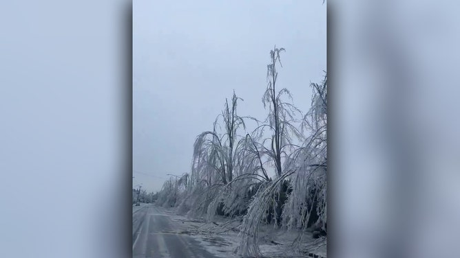 Ice storm leaves damage in Springfield, OR