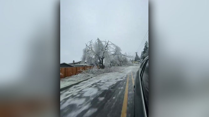 Ice storm leaves damage in Springfield, OR