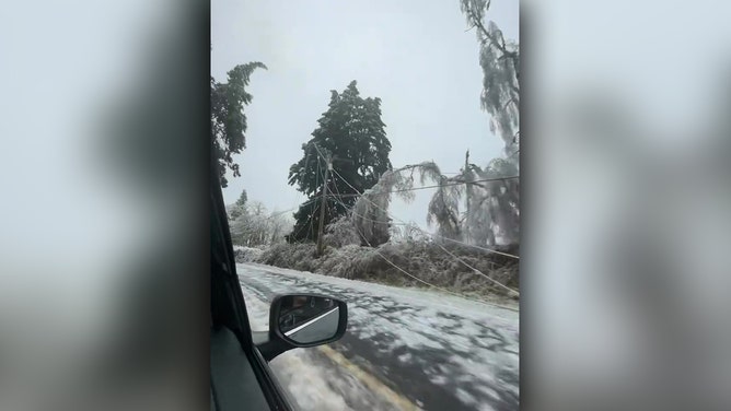 Ice storm leaves damage in Springfield, OR